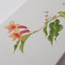 画像をギャラリービューアに読み込む, ツリガネカヅラ / 森夕香