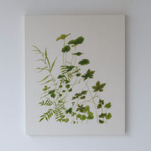 画像をギャラリービューアに読み込む, 岩場の雑草 / 森夕香