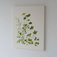 画像をギャラリービューアに読み込む, 岩場の雑草 / 森夕香