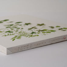 画像をギャラリービューアに読み込む, 岩場の雑草 / 森夕香