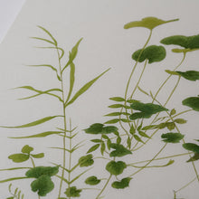 画像をギャラリービューアに読み込む, 岩場の雑草 / 森夕香