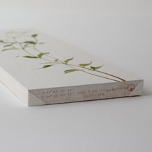 画像をギャラリービューアに読み込む, マンデビララクサ / 森夕香