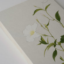 画像をギャラリービューアに読み込む, マンデビララクサ / 森夕香