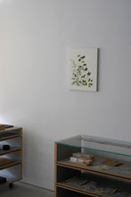 画像をギャラリービューアに読み込む, 岩場の雑草 / 森夕香