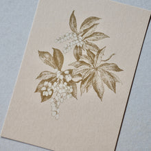 画像をギャラリービューアに読み込む, Cards Field Note #02 Suzuka Mountains / etohako