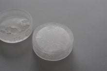 Load image into Gallery viewer, ときの箱 雪花 / 松田苑子