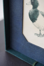 画像をギャラリービューアに読み込む, キンクロハジロ (原画) / etohako