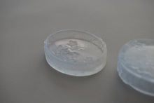 画像をギャラリービューアに読み込む, ときの箱 勿忘草 / 松田苑子