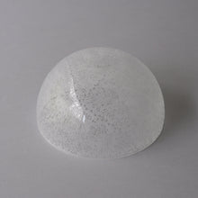 画像をギャラリービューアに読み込む, bowl L / 三野直子