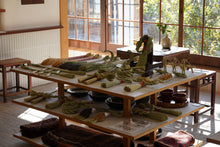 画像をギャラリービューアに読み込む, 作州眼鏡 / 丙 ひのえ