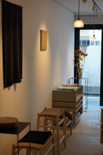 Load image into Gallery viewer, 照明 / 三野直子