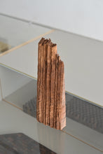 画像をギャラリービューアに読み込む, コラージュ (クラロウォールナット) / 藤崎均