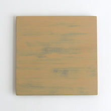 画像をギャラリービューアに読み込む, 白拭漆平皿 220×215 / 芦田貞晴