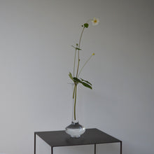 画像をギャラリービューアに読み込む, 鶴首 / 瀬沼健太郎