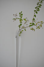 画像をギャラリービューアに読み込む, 掛花 / 瀬沼健太郎