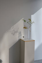 Load image into Gallery viewer, 細瓶 / 瀬沼健太郎