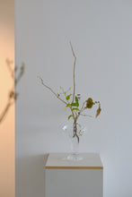 Load image into Gallery viewer, 瓶子 / 瀬沼健太郎