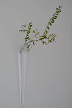 画像をギャラリービューアに読み込む, 掛花 / 瀬沼健太郎