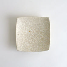 画像をギャラリービューアに読み込む, 貫入正方皿 / 三宅史家