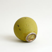 Load image into Gallery viewer, 一輪挿し(イエロー) / 北岡幸士