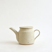 Load image into Gallery viewer, 貫入ポット / 三宅史家