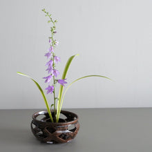 画像をギャラリービューアに読み込む, 籐籠(小 / 日高伸治