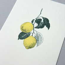 画像をギャラリービューアに読み込む, Postcard No.7 Lemon / Kiwifruit / Fig tree / etohako
