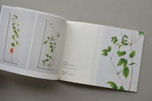 画像をギャラリービューアに読み込む, 「森夕香個展」作品集 / 森夕香
