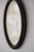 画像をギャラリービューアに読み込む, カンレンボク (原画) / etohako
