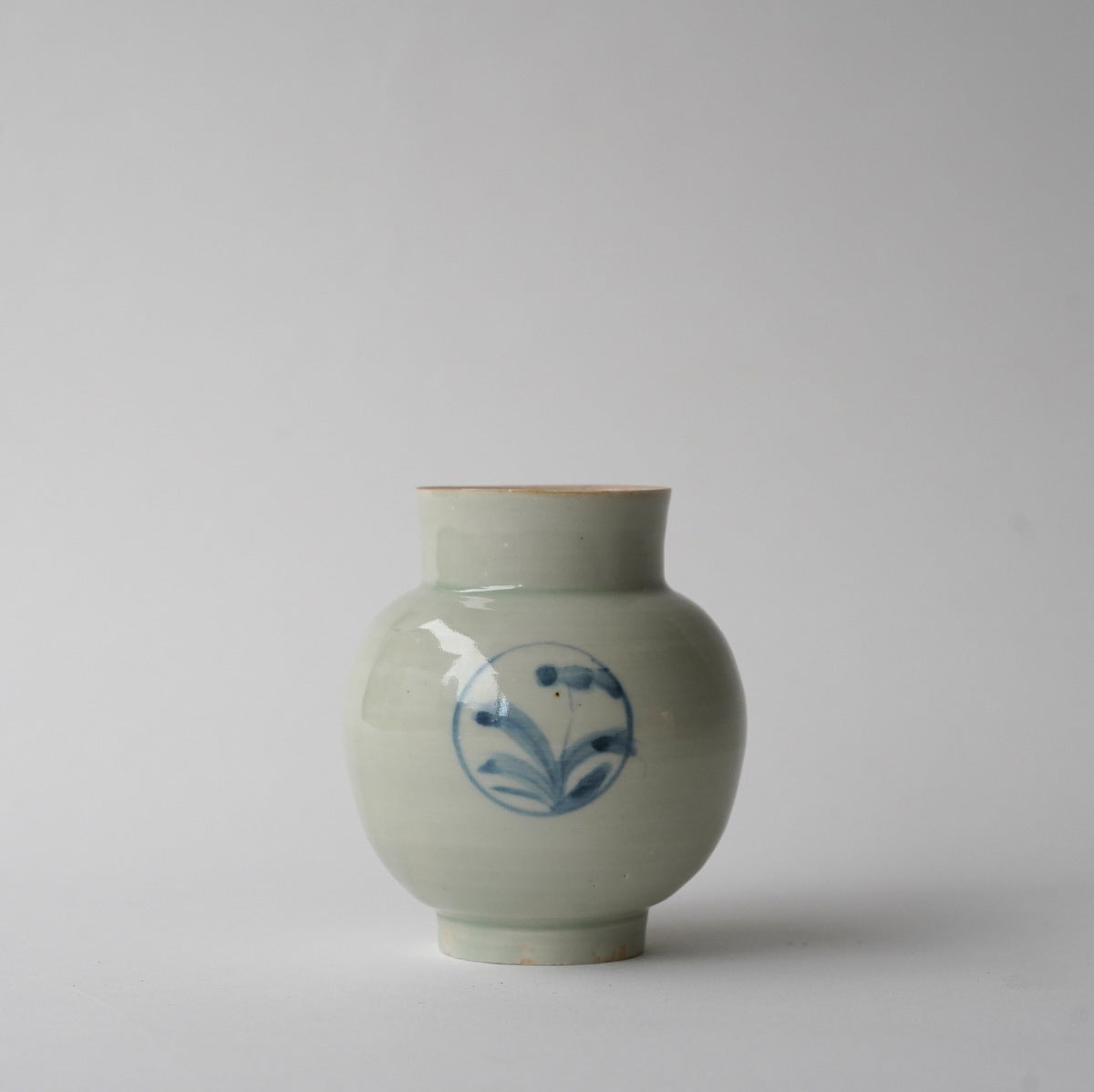 Gallery – toutou online
