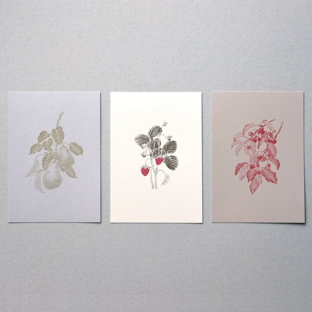 Postcard No.4 Strawberry / Cherry / Pear / etohako