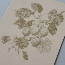 画像をギャラリービューアに読み込む, Postcard No.7 Lemon / Kiwifruit / Fig tree / etohako
