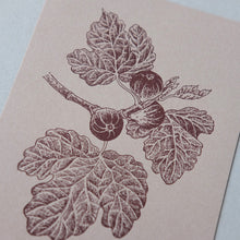 画像をギャラリービューアに読み込む, Postcard No.7 Lemon / Kiwifruit / Fig tree / etohako
