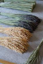 画像をギャラリービューアに読み込む, 宝珠 弁柄 / 丙 ひのえ
