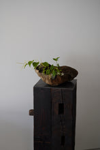Load image into Gallery viewer, 古材展示台400x400x800 / 藤崎均
