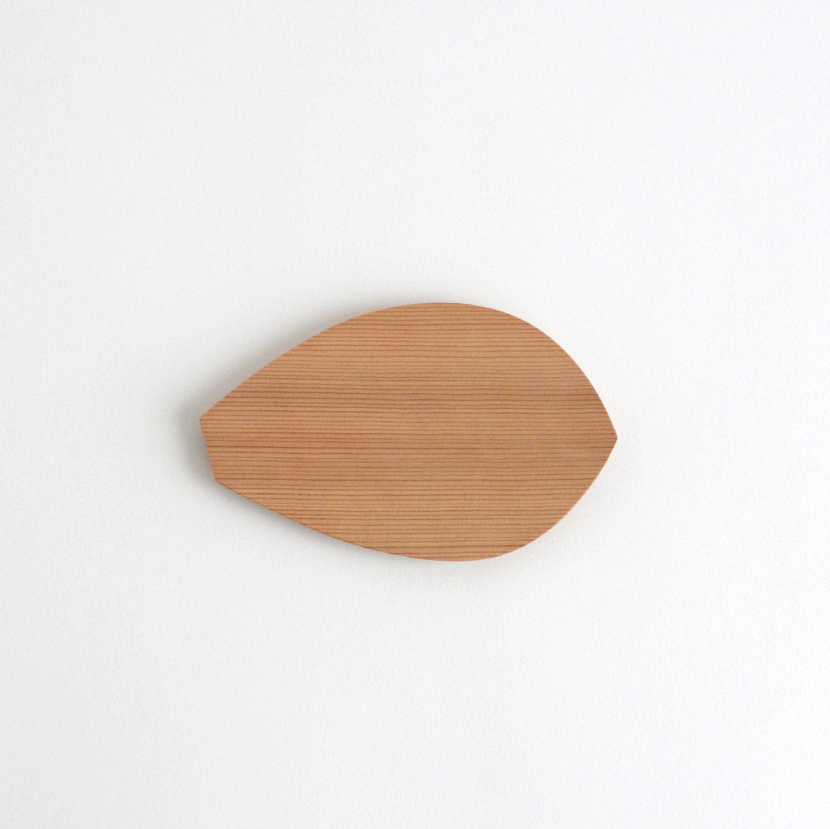 紀平佳丈 / Yoshitake Kihira – toutou online