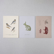 画像をギャラリービューアに読み込む, Postcards No.8 Field Note #03 Rokko Mountains - Wild animals / etohako
