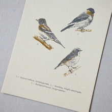 画像をギャラリービューアに読み込む, Postcards No.8 Field Note #03 Rokko Mountains - Wild animals / etohako
