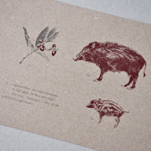 画像をギャラリービューアに読み込む, Postcards No.8 Field Note #03 Rokko Mountains - Wild animals / etohako
