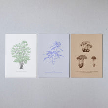 画像をギャラリービューアに読み込む, Postcards No.9 Field Note #03 Rokko Mountains - Plants / etohako
