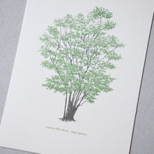画像をギャラリービューアに読み込む, Postcards No.9 Field Note #03 Rokko Mountains - Plants / etohako
