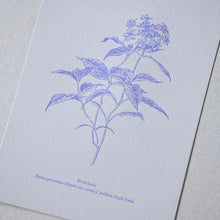 画像をギャラリービューアに読み込む, Postcards No.9 Field Note #03 Rokko Mountains - Plants / etohako
