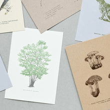 画像をギャラリービューアに読み込む, Postcards No.9 Field Note #03 Rokko Mountains - Plants / etohako
