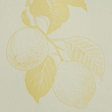 画像をギャラリービューアに読み込む, ポストカード（Grape / Lemon / Pineapple) / etohako
